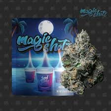 Magic Shotz Strain